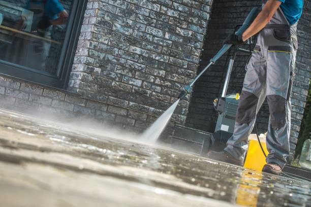 Animal Enclosure Cleaning in Olathe, KS
